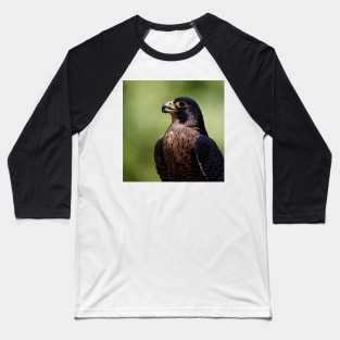 Peregrine Falcon Baseball T-Shirt